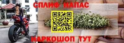 крисы Ливны