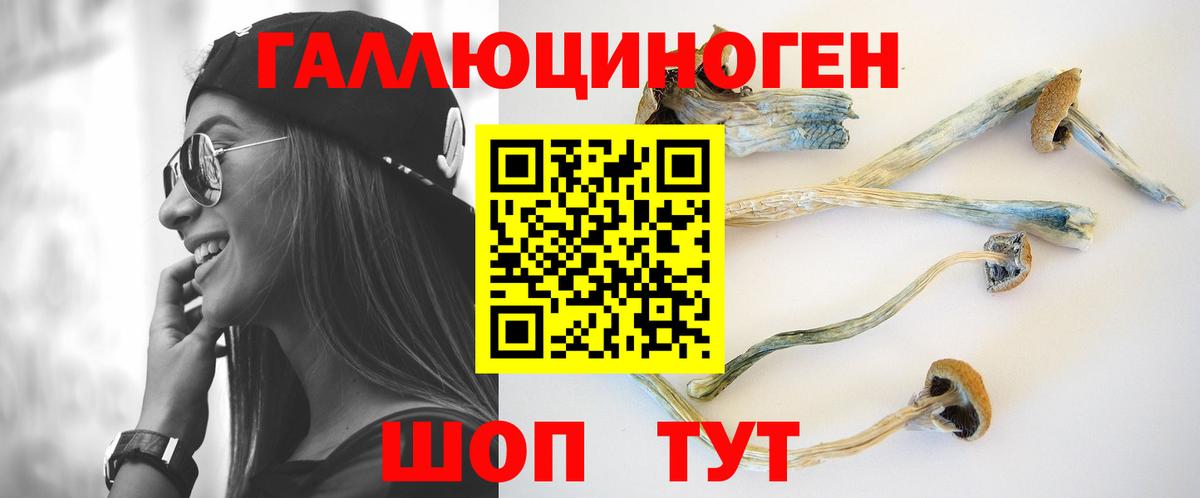 Галлюциногенные грибы Psilocybe  Псилоцибиновые грибы Psilocybe  Сызрань  Вход с VPN 